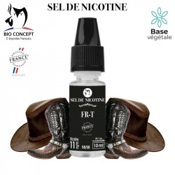 Sel de nicotine - Classic FR-T