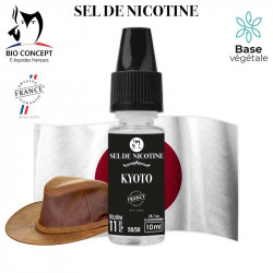 Pack eliquides au Sel de nicotine