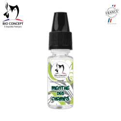 Menthe des champs Arôme naturel DIY pour E-liquide